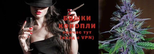 мдпв Елабуга