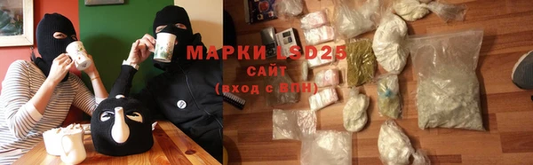 мдпв Елабуга