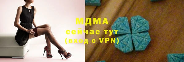 мдпв Елабуга