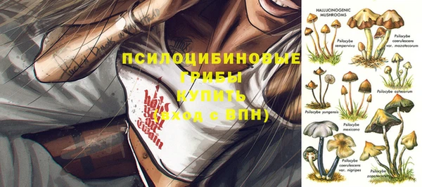 метадон Ельня