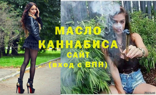 мдпв Елабуга