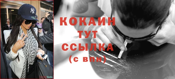мдпв Елабуга